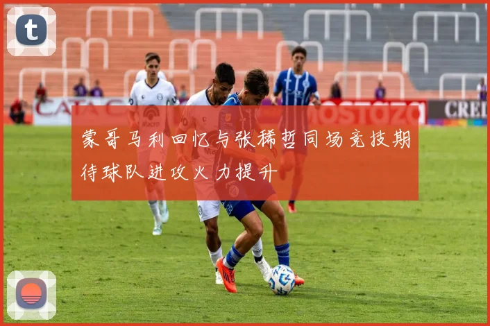 蒙哥马利回忆与张稀哲同场竞技期待球队进攻火力提升