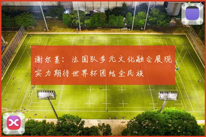 谢尔基：法国队多元文化融合展现实力期待世界杯团结全民族