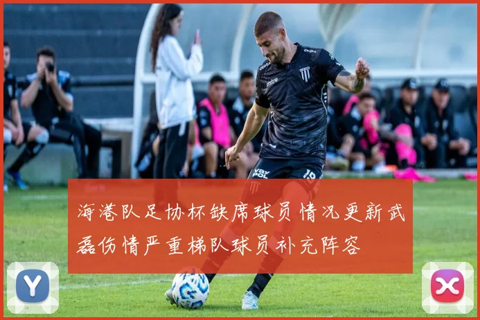 海港队足协杯缺席球员情况更新武磊伤情严重梯队球员补充阵容